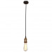 Основное фото Светильник подвесной LOFT IT Holder Loft1153: Купить в Интернет магазин освещения GCSVET.RU