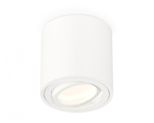 Основное фото Светильник потолочный Ambrella Light Techno Spot XS7531001 (C7531, N7001): Купить в Интернет магазин освещения GCSVET.RU