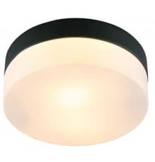 Светильник потолочный Arte Lamp Aqua-Tablet A6047PL-1BK