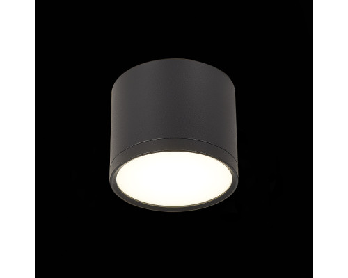 Дополнительное фото Светильник потолочный ST Luce Rene ST113.442.09: Купить в Интернет магазин освещения GCSVET.RU