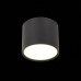 Дополнительное фото Светильник потолочный ST Luce Rene ST113.442.09: Купить в Интернет магазин освещения GCSVET.RU