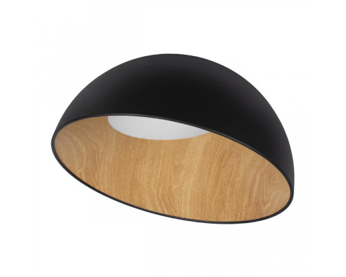 Основное фото Светильник потолочный Loft IT Egg 10197/500 Black: Купить в Интернет магазин освещения GCSVET.RU