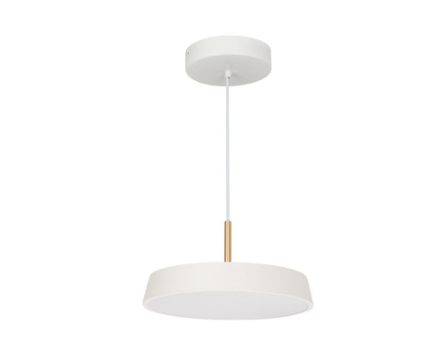 Основное фото Светильник подвесной Arlight SP-ELEGANT-R300-17W Day4000 (WH, 120 deg, 230V) 033919(1): Купить в Интернет магазин освещения GCSVET.RU