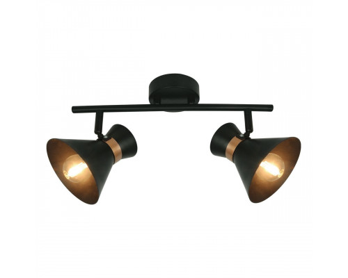 Дополнительное фото Светильник спот Arte Lamp Baltimore A1406AP-2BK: Купить в Интернет магазин освещения GCSVET.RU