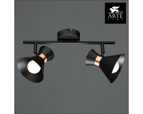 Дополнительное фото Светильник спот Arte Lamp Baltimore A1406AP-2BK: Купить в Интернет магазин освещения GCSVET.RU