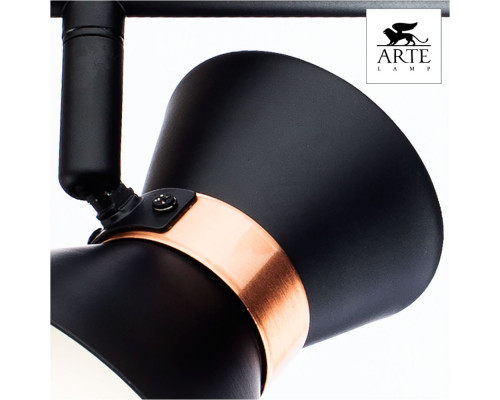 Дополнительное фото Светильник спот Arte Lamp Baltimore A1406AP-2BK: Купить в Интернет магазин освещения GCSVET.RU