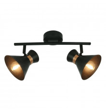 Светильник спот Arte Lamp Baltimore A1406AP-2BK