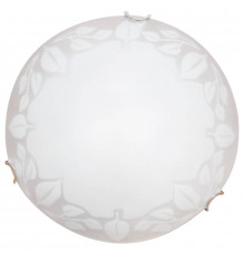 Светильник настенный Arte Lamp Leaves A4020PL-1CC