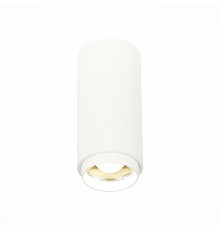 Светильник потолочный ST Luce Zoom ST600.542.10