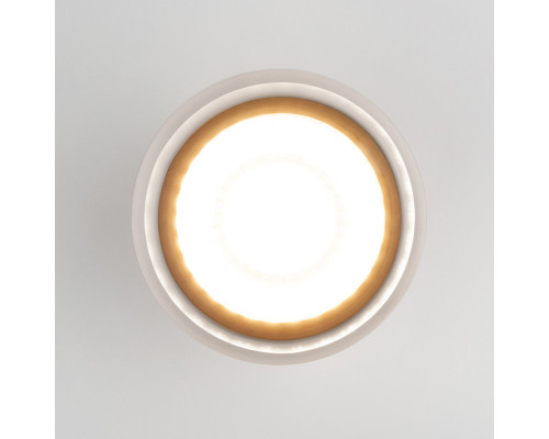 Дополнительное фото Уличный потолочный светильник Elektrostandard Light LED 4690389177958: Купить в Интернет магазин освещения GCSVET.RU