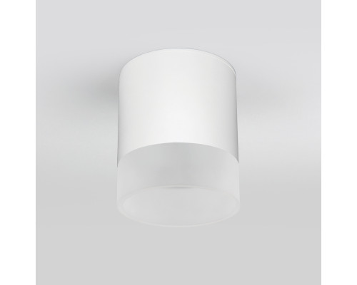 Дополнительное фото Уличный потолочный светильник Elektrostandard Light LED 4690389177958: Купить в Интернет магазин освещения GCSVET.RU