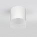 Дополнительное фото Уличный потолочный светильник Elektrostandard Light LED 4690389177958: Купить в Интернет магазин освещения GCSVET.RU