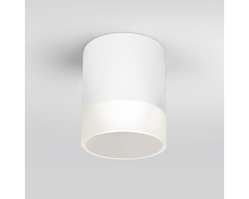 Основное фото Уличный потолочный светильник Elektrostandard Light LED 4690389177958: Купить в Интернет магазин освещения GCSVET.RU