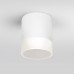 Основное фото Уличный потолочный светильник Elektrostandard Light LED 4690389177958: Купить в Интернет магазин освещения GCSVET.RU