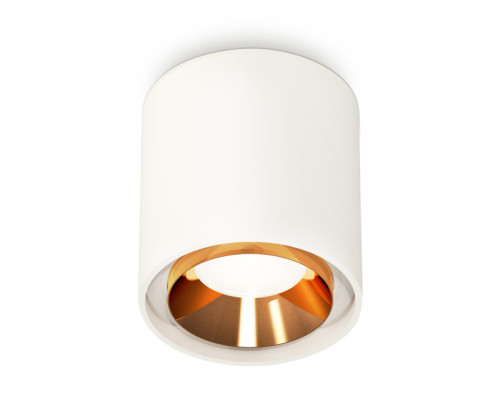 Основное фото Светильник потолочный Ambrella Light Techno Spot XS7722004 (C7722, N7034): Купить в Интернет магазин освещения GCSVET.RU