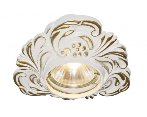 Основное фото Светильник встраиваемый Arte Lamp Occhio A5285PL-1SG: Купить в Интернет магазин освещения GCSVET.RU