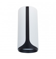 Светильник накладной Arte Lamp Pino A7376PL-1WH