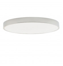 Светильник потолочный Zortes Tortty ZRS.02565.96