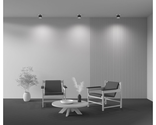 Дополнительное фото Светильник потолочный LED Maytoni Planet C009CW-L12B: Купить в Интернет магазин освещения GCSVET.RU