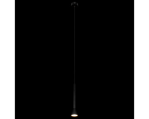Дополнительное фото Светильник подвесной Loft IT Pipe 10337/250 Black: Купить в Интернет магазин освещения GCSVET.RU