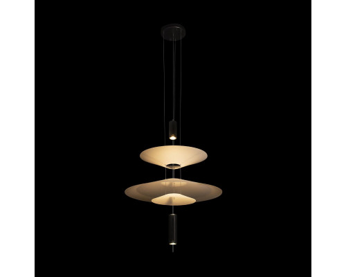 Дополнительное фото Светильник подвесной Loft IT Skylar 10244/B Black: Купить в Интернет магазин освещения GCSVET.RU