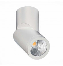 Светодиодный Светильник спот ST Luce ST650.542.10