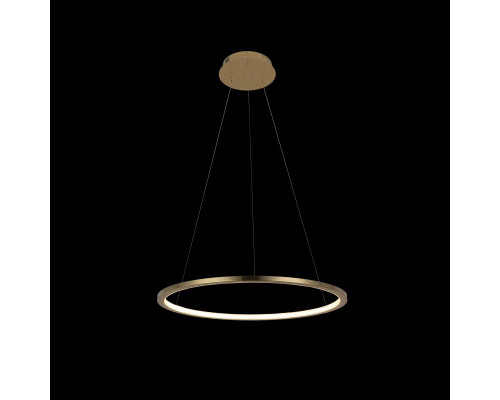 Дополнительное фото Светильник подвесной LED Loft IT Ring 10014M: Купить в Интернет магазин освещения GCSVET.RU