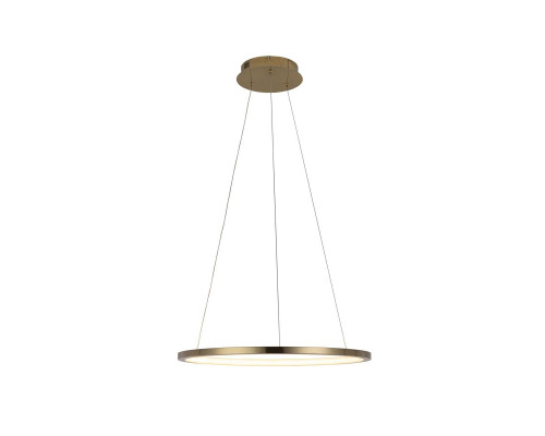 Дополнительное фото Светильник подвесной LED Loft IT Ring 10014M: Купить в Интернет магазин освещения GCSVET.RU