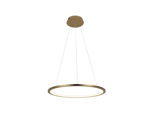 Основное фото Светильник подвесной LED Loft IT Ring 10014M: Купить в Интернет магазин освещения GCSVET.RU