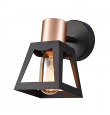 Светильник спот Vele Luce Carisma VL6462W01