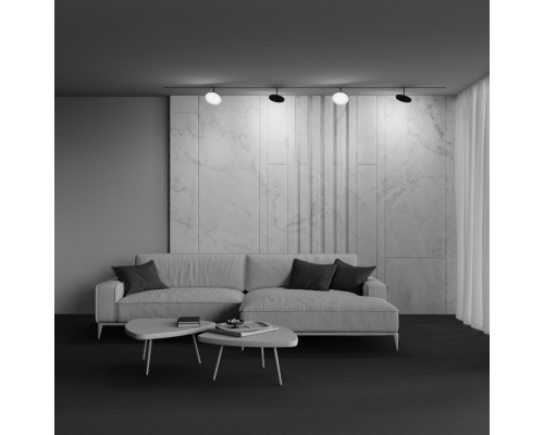 Дополнительное фото Светильник трековый (магнитый) Maytoni Plato TR131-4-15W-DS-B: Купить в Интернет магазин освещения GCSVET.RU