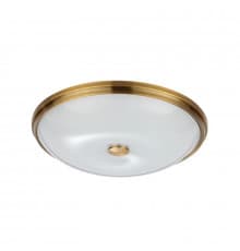 Настенно-Светильник потолочный Odeon Light Pelow 4956/5