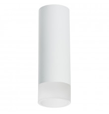 Светильник накладной Lightstar Rullo R48631 (214486+202431)