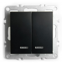 Выключатель 2-клавишный с индикатором Stekker Эрна PSW10-9102-03 49147