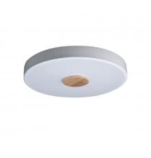 Светильник потолочный Loft IT AXEL 10003/24 White