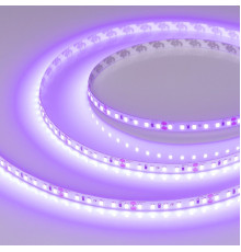 Лента светодиодная Arlight RT-A120-8mm 24V Violet (9.6 W/m, IP20, 2835, 5m) 043384