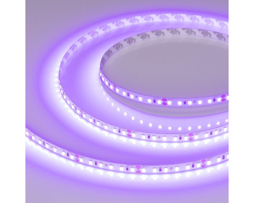 Основное фото Лента светодиодная Arlight RT-A120-8mm 24V Violet (9.6 W/m, IP20, 2835, 5m) 043384: Купить в Интернет магазин освещения GCSVET.RU