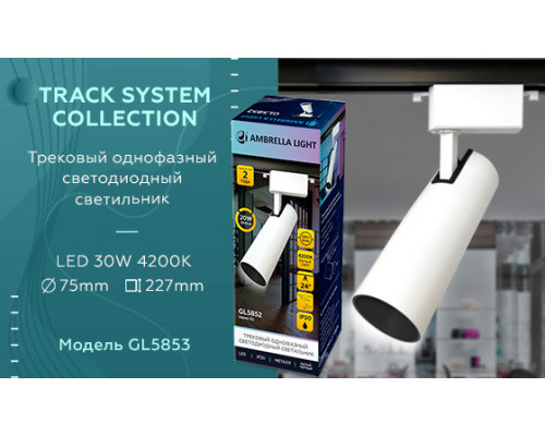 Дополнительное фото Светильник трековый (однофазный) Ambrella Light Track System GL5853: Купить в Интернет магазин освещения GCSVET.RU