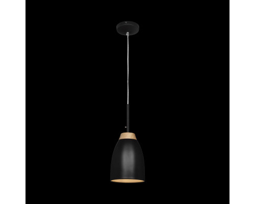 Дополнительное фото Светильник подвесной LOFT IT Watchman Loft4402A-Bl: Купить в Интернет магазин освещения GCSVET.RU