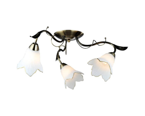 Основное фото Люстра потолочная Arte Lamp Barbara A6066PL-3AB: Купить в Интернет магазин освещения GCSVET.RU