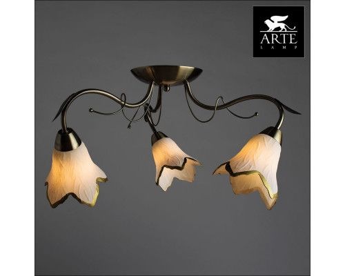 Дополнительное фото Люстра потолочная Arte Lamp Barbara A6066PL-3AB: Купить в Интернет магазин освещения GCSVET.RU