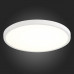 Дополнительное фото Настенно-Светильник потолочный ST Luce ST601.532.32: Купить в Интернет магазин освещения GCSVET.RU