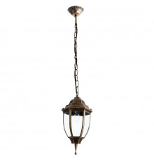 Подвес уличный Arte Lamp Pegasus A3151SO-1BN