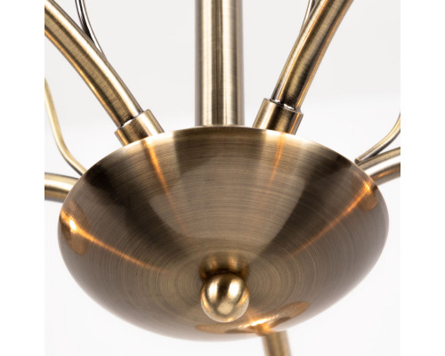 Дополнительное фото Люстра потолочная Arte Lamp Willow A3461PL-5AB: Купить в Интернет магазин освещения GCSVET.RU