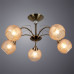 Дополнительное фото Люстра потолочная Arte Lamp Willow A3461PL-5AB: Купить в Интернет магазин освещения GCSVET.RU