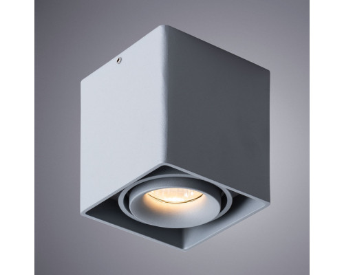 Дополнительное фото Светильник потолочный Arte Lamp Pictor A5654PL-1GY: Купить в Интернет магазин освещения GCSVET.RU