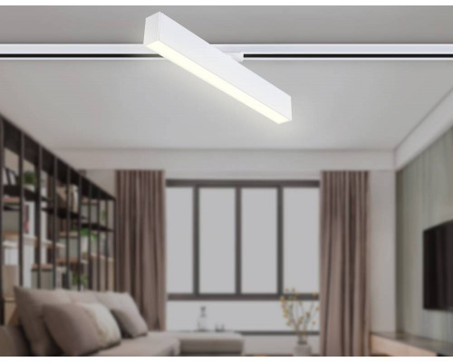 Дополнительное фото Светильник трековый (однофазный) Ambrella Light Track System GL6769: Купить в Интернет магазин освещения GCSVET.RU