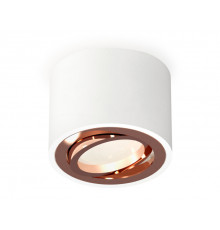Светильник потолочный Ambrella Light Techno Spot XS7510005 (C7510, N7005)