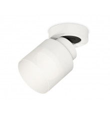 Светильник спот Ambrella Light Techno Spot XM8101021 (A2228, A2105, C8101, N8402)