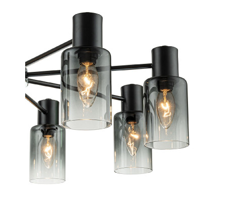 Дополнительное фото Люстра потолочная Escada Diversity 2120/8P Black: Купить в Интернет магазин освещения GCSVET.RU